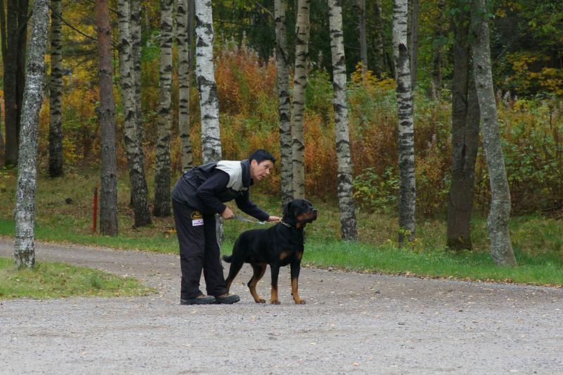 PK kurssi (14).jpg